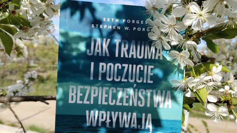 Perspektywa poliwagalna