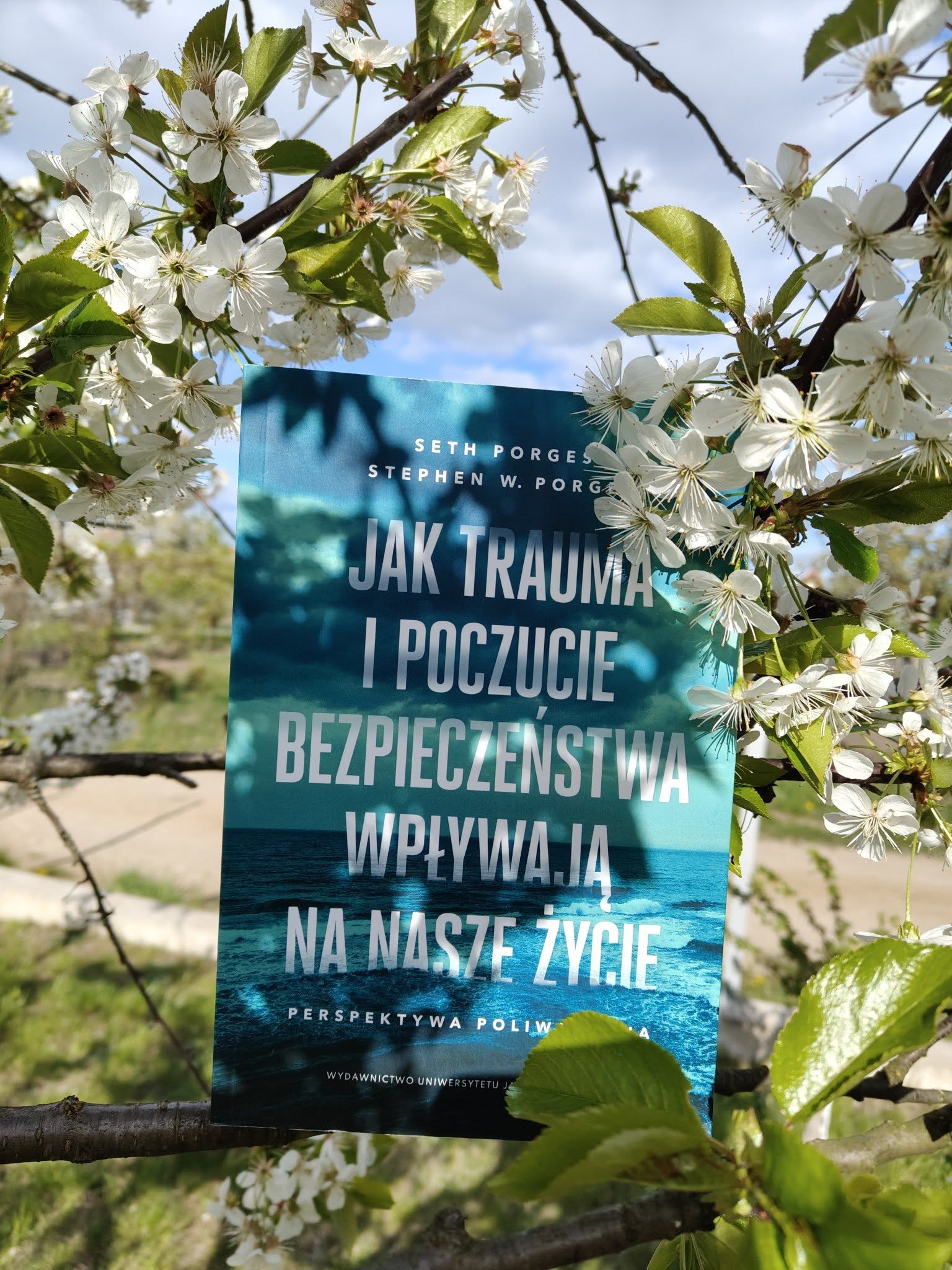 Perspektywa poliwagalna